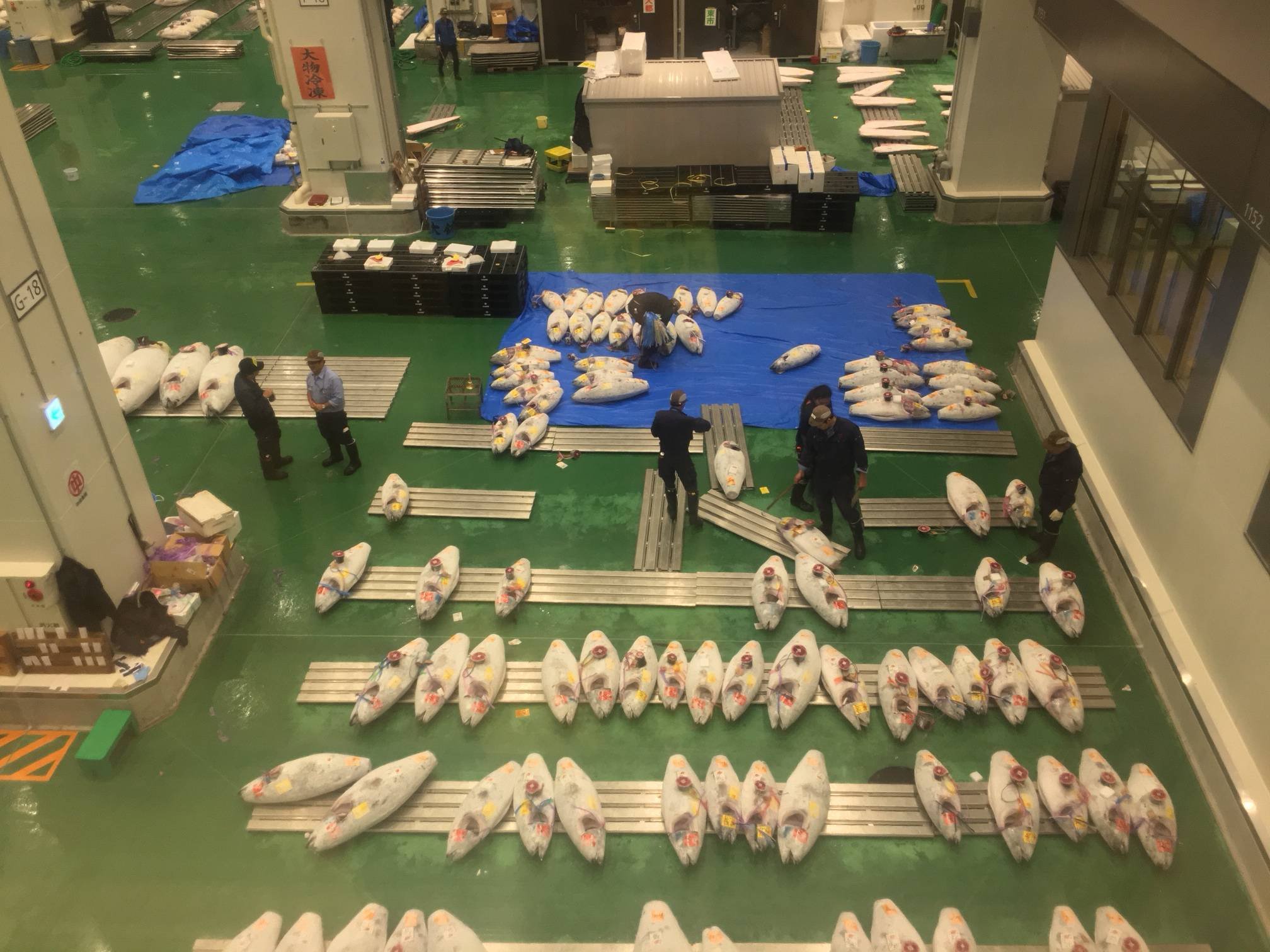 🐟 도요스 시장 이미지 7